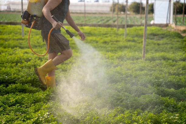 Best Best Pest Control Companies  in Woodburn, OR