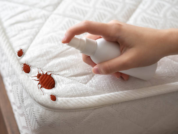Best Pest Prevention Services  in Woodburn, OR